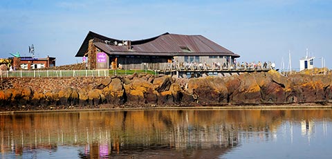 Scottish seabird centre