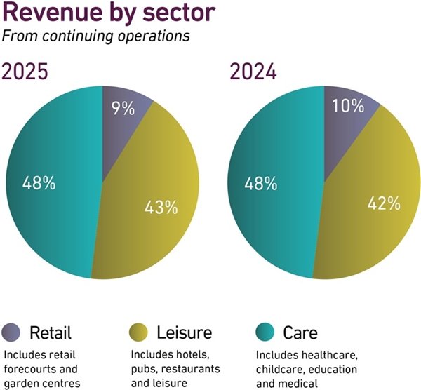 Revenue by sector 2025 image